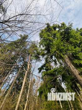 Коттедж 570м², 3-этажный, на длительный срок,