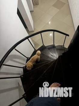 Дом 350м², 2-этажный, посуточно,