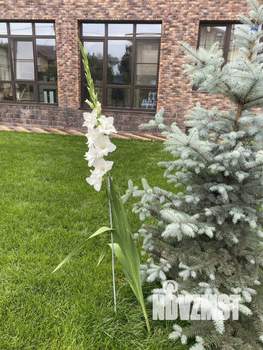 Коттедж 350м², 3-этажный, участок 18 сот.