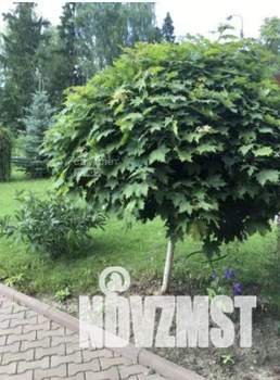 Таунхаус 273м², 2-этажный, участок 7 сот.