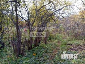 Дом 77м², 1-этажный, участок 9 сот.