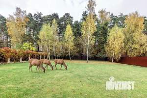 Коттедж 330м², 1-этажный, участок 16 сот.