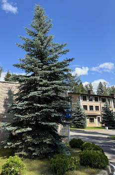 Дом 340м², 3-этажный, участок 9 сот.  