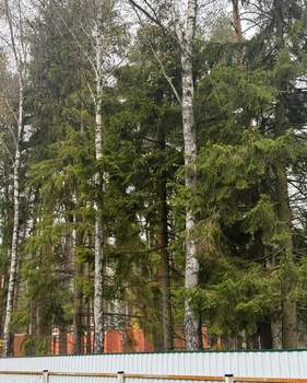 Дом 440м², 3-этажный, участок 800 сот.  