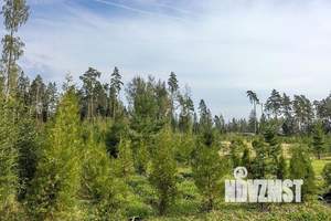 Дом 650м², 3-этажный, участок 40 сот.  