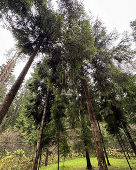 Дом 330м², 3-этажный, участок 32 сот.  