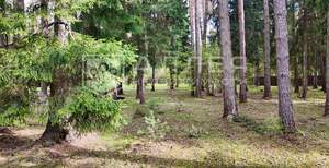 Дом 400м², 2-этажный, участок 21 сот.  
