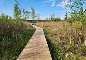 Дом 386м², 2-этажный, участок 11 сот.  