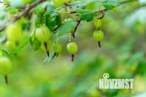 Коттедж 776м², 2-этажный, участок 44 сот.  