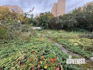 Дом 59м², 1-этажный, участок 7 сот.  