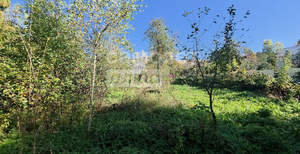 Дом 54м², 1-этажный, участок 9 сот.  