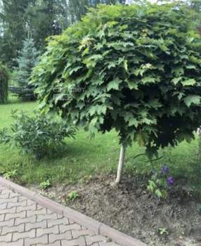 Дом 273м², 2-этажный, участок 7 сот.  