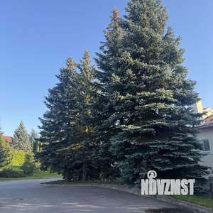 Таунхаус 195м², 2-этажный, участок 3 сот.  