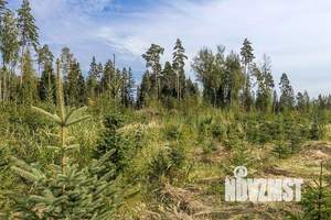 Дом 650м², 3-этажный, участок 40 сот.  
