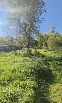 Дом 54м², 1-этажный, участок 9 сот.  