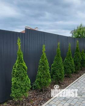 Дом 250м&sup2;, 2-этажный, участок 12 сот.  