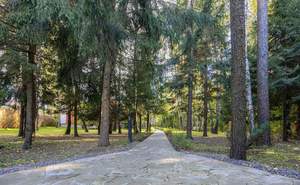 Дом 534м², 2-этажный, участок 50 сот.  