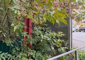 Дом 59м², 1-этажный, участок 7 сот.  