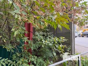 Дом 59м², 1-этажный, участок 7 сот.  