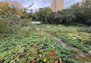 Дом 59м², 1-этажный, участок 7 сот.  