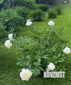 Дом 250м², 3-этажный, участок 9 сот.  