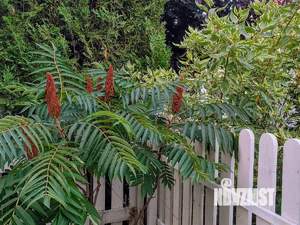 Таунхаус 171м², 3-этажный, участок 2 сот.  