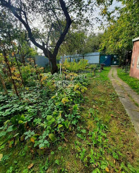 Дом 52м², 1-этажный, участок 16 сот.  