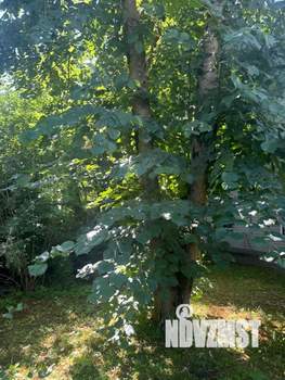 Дом 105м², 2-этажный, участок 11 сот.  