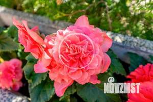 Коттедж 117м², 1-этажный, участок 10 сот.  