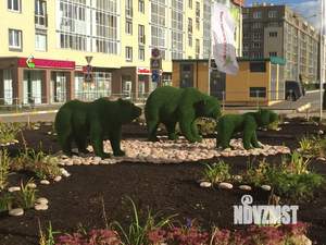 Студия квартира, на длительный срок, 20м2, 2/8 этаж