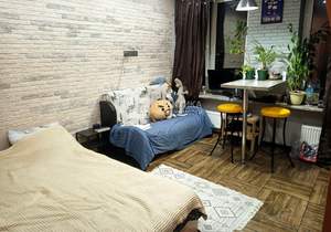 1-к квартира, на длительный срок, 30м2, 24/25 этаж