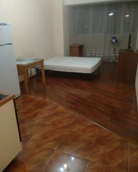 1-к квартира, на длительный срок, 30м2, 4/20 этаж