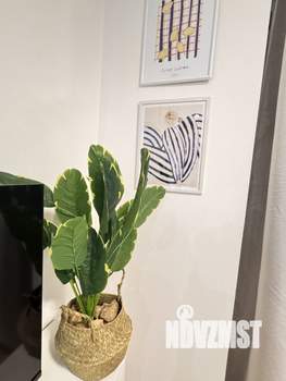 Студия квартира, на длительный срок, 20м2, 6/9 этаж