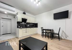 Студия квартира, на длительный срок, 24м2, 16/18 этаж