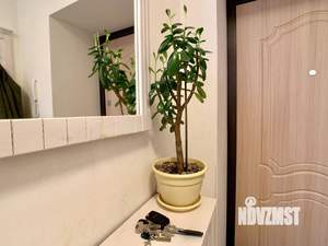 2-к квартира, на длительный срок, 48м2, 10/24 этаж