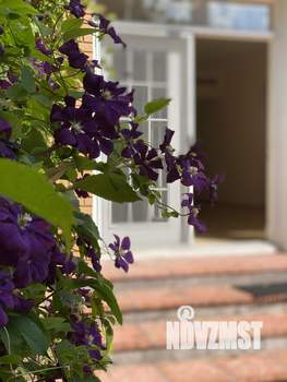 6-к квартира, на длительный срок, 250м2, 1/2 этаж