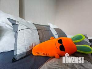 1-к квартира, посуточно, 58м2, 1/1 этаж