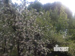 3-к квартира, на длительный срок, 80м2, 1/3 этаж