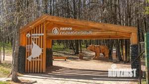 3-к квартира, на длительный срок, 55м2, 23/31 этаж