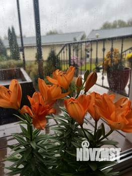 3-к квартира, на длительный срок, 98м2, 1/4 этаж