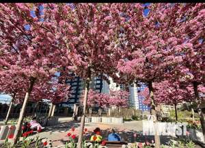 1-к квартира, на длительный срок, 37м2, 12/45 этаж