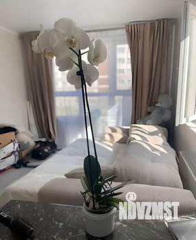 Студия квартира, на длительный срок, 25м2, 1/9 этаж