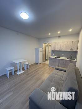 Студия квартира, на длительный срок, 24м2, 4/9 этаж