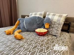 Студия квартира, посуточно, 25м2, 2/8 этаж