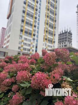 1-к квартира, на длительный срок, 35м2, 11/28 этаж