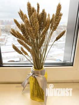 1-к квартира, посуточно, 25м2, 13/30 этаж