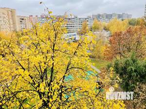 3-к квартира, вторичка, 51м2, 6/9 этаж