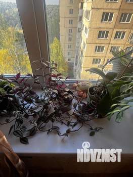 3-к квартира, вторичка, 73м2, 8/14 этаж