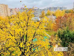 3-к квартира, вторичка, 51м2, 6/9 этаж