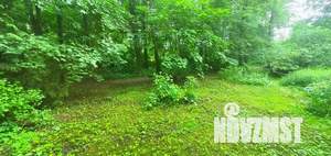 Фото квартиры на продажу (7)